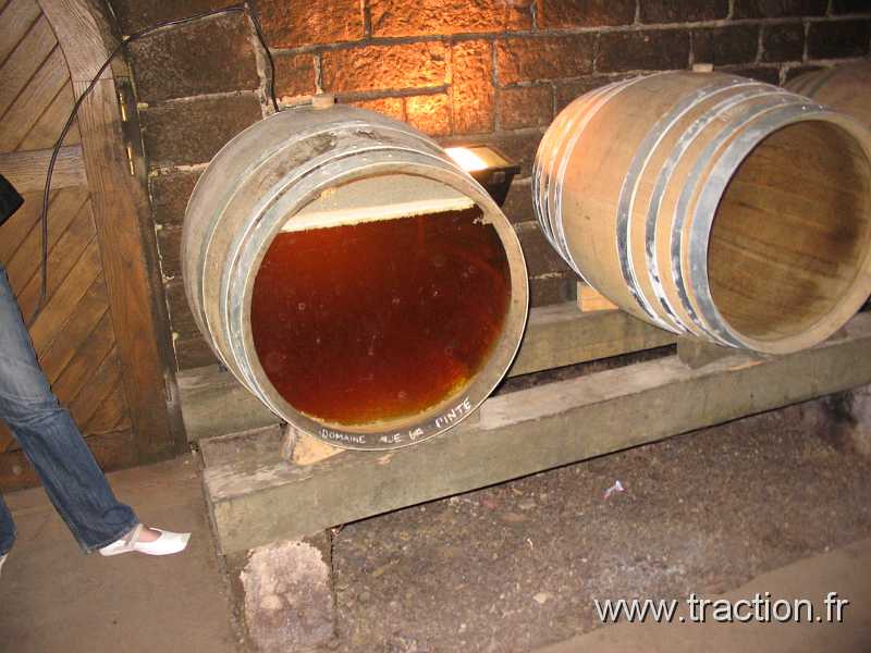 2011_CVAAM_35ans_15_Domaine_Viticole (27).JPG - 35 Ans du CVAAM, sortie dans le Doubs et le Jura, du 26 Avril au 1er Mai 2011, Le Domaine Viticole de la Pinte à Arbois